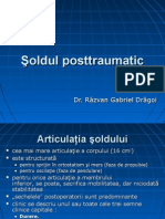 Soldul Posttraumatic