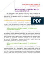 Procesos de Produccion de Hidrógeno Con Algas y Bacterias