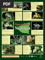 Plantas Endemicas Nicaragua Afiche PDF