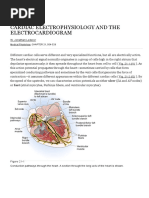 Cardiac Electrophysiology and The Electrocardiogram - Clinicalkey