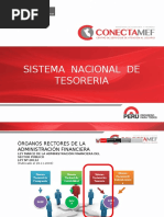 Sistema Nacional de Tesorería