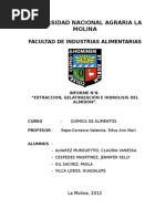 Extraccion, Gelatinización e Hidrolisis Del Almidón