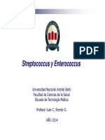 Clase 2.2 Streptococcus y Enterococcus