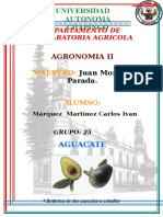 AGUACATE