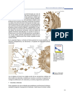 BIOLOGIA I-Parte 2 PDF