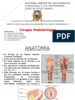 Cirugia Endolaringea Diapos