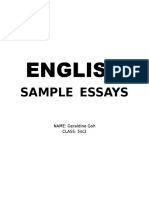 English Sample Essays