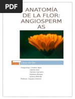 Trabajo Finalizado Anatomia Flores