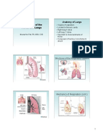 Assessment of The Thorax and Lungs 2014