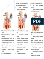 ESTUDO DIRIGIDO Sistema Respiratório