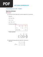 9 Métodos Numéricos Matrices