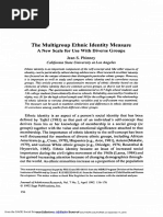 Multigroup Ethnic Identity Measure