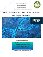 Informe Extracción de Adn