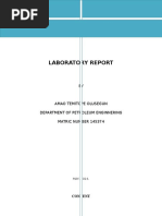 Lab Report