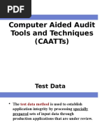 Computer Aided Audit Tools and Techniques (Caatts)