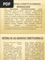 Garantías Constitucionales