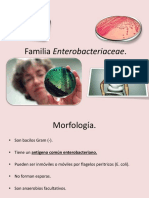 Familia Enterobacteriaceae