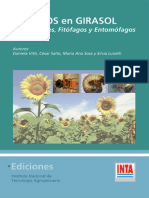 Insectos en Girasol PDF