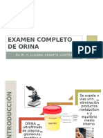 Examen Completo de Orina