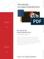 Introdução Ao Empreendedorismo PDF