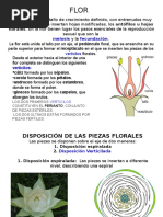 Tema 4 Flor-1