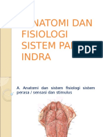 Anatomi Dan Fisiologi Sistem Panca Indra