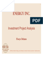 Investment Project Analysis