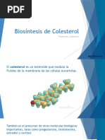 Biosíntesis de Colesterol