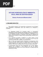 Informe Final CONEA PDF