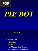 Pie Bot