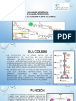 Glucolisis K