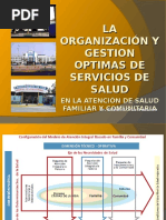 ORGANIZACION Y GESTION DE SERVICIOS DE SALUD EN SFYC - FFPPT