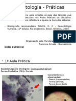 Lâminas Prova Pratica - Prova Parasitologia