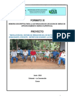 FORMATO XI Ejecucion de Obras ALA