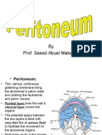 By Prof. Saeed Abuel Makarem