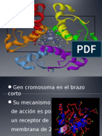 Insulina Neto