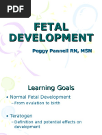 Fetal Development