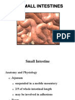 General Surgery SMALL INTESTINES-Dr Mendoza