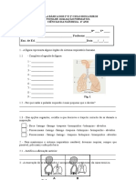 Ficha de Avaliação Respiração - Nélia