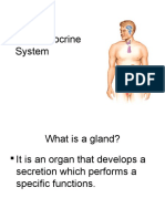 The Endocrine System