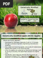 Genetically Modified Apple (Arctic Apple)