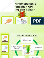 Pemupukan Dan Pengendalian OPT