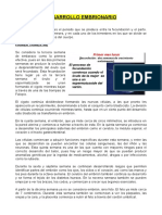 Desarrollo Embrionario 2