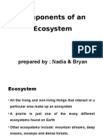 Components of An Ecosystem