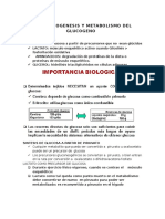 GLUCONEOGENESIS y Metabolismo Del Glucogeno 1