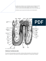 Atlas de La Anatomía de Una Serpiente.