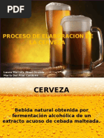 Proceso de Elaboracion de La Cerveza