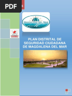 Plan Local Seguridad Ciudadana Magdalena Del Mar