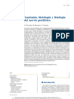 Anatomía, Histología y Fisiología Del N. Periferico