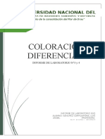 Informe 04 - Coloración Diferencial